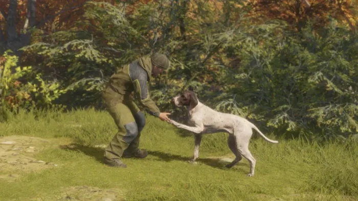 theHunter: Call of the Wild™ - German Shorthaired Pointer — скриншот 3