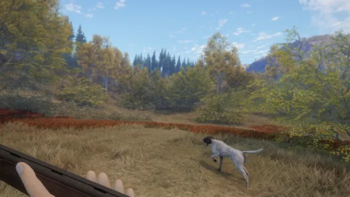 theHunter: Call of the Wild™ - German Shorthaired Pointer — скриншот 4