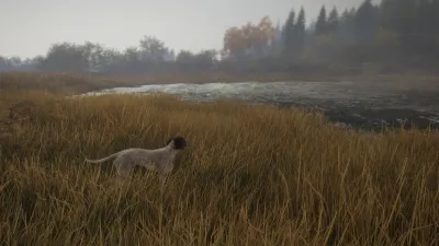 theHunter: Call of the Wild™ - German Shorthaired Pointer — скриншот 5