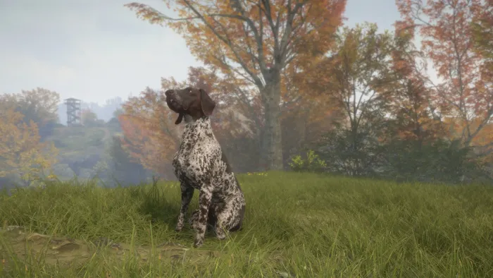 theHunter: Call of the Wild™ - German Shorthaired Pointer — скриншот 7
