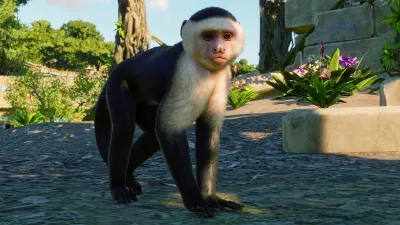 Planet Zoo: наборы «Австралия» и «Южная Америка» — скриншот 2