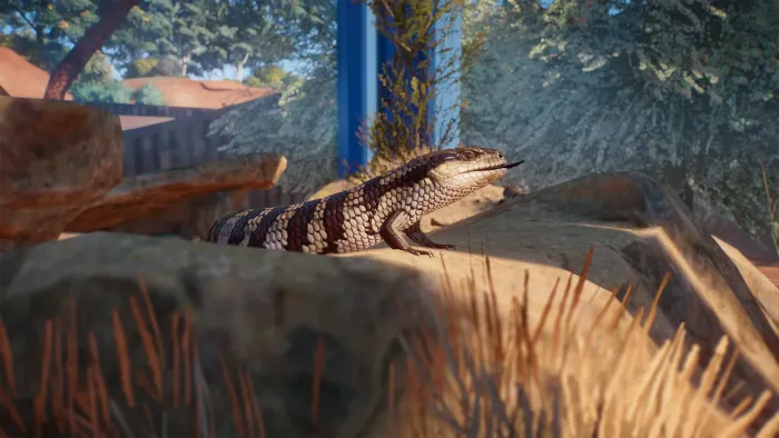 Planet Zoo: наборы «Австралия» и «Южная Америка» — скриншот 9