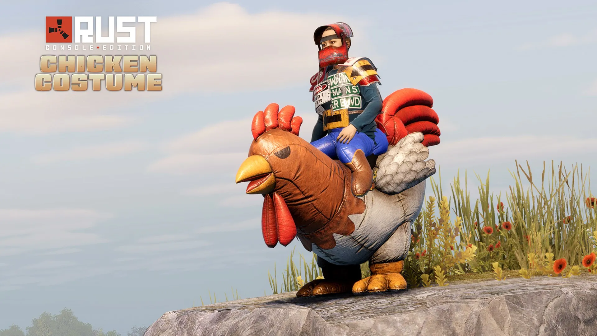 Chicken Costume