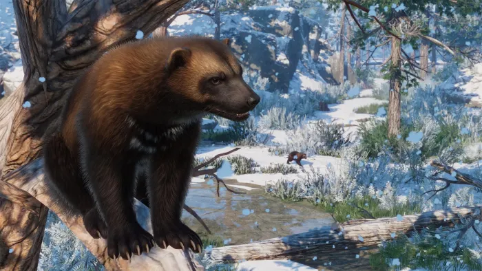 Planet Zoo: набор «Океания и Евразия» — скриншот 9