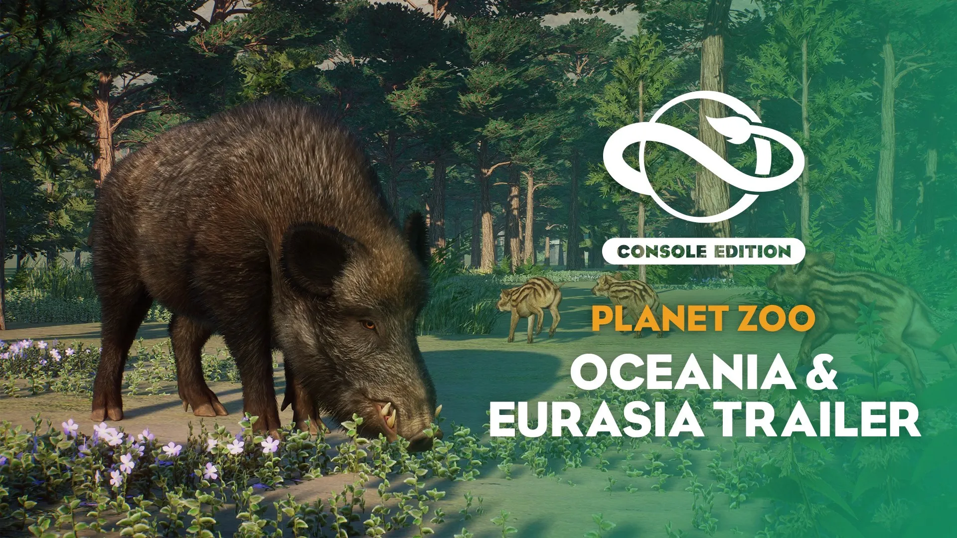 Planet Zoo: набор «Океания и Евразия» — трейлер