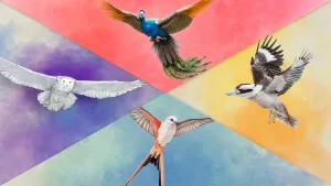 Крылья + птицы Европы + Океании + Азии