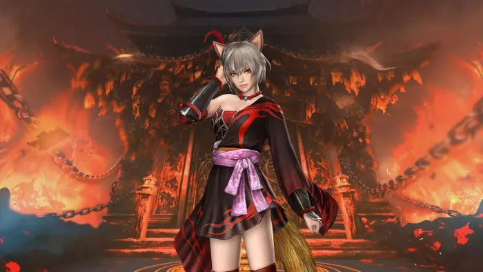 WARRIORS: Abyss - DYNASTY WARRIORS Classic Costume Set — скриншот 4