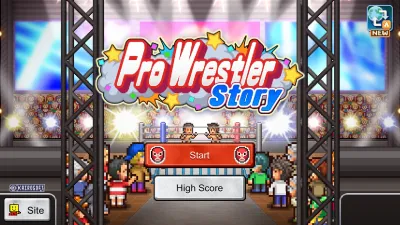 Pro Wrestler Story — скриншот 5