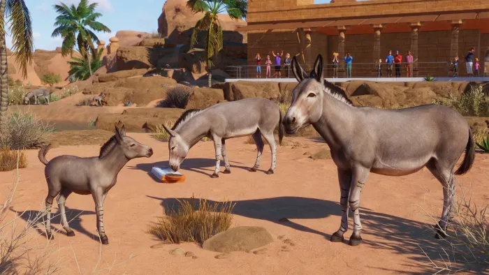 Planet Zoo: наборы «Сухой климат» и «Тропический» — скриншот 9