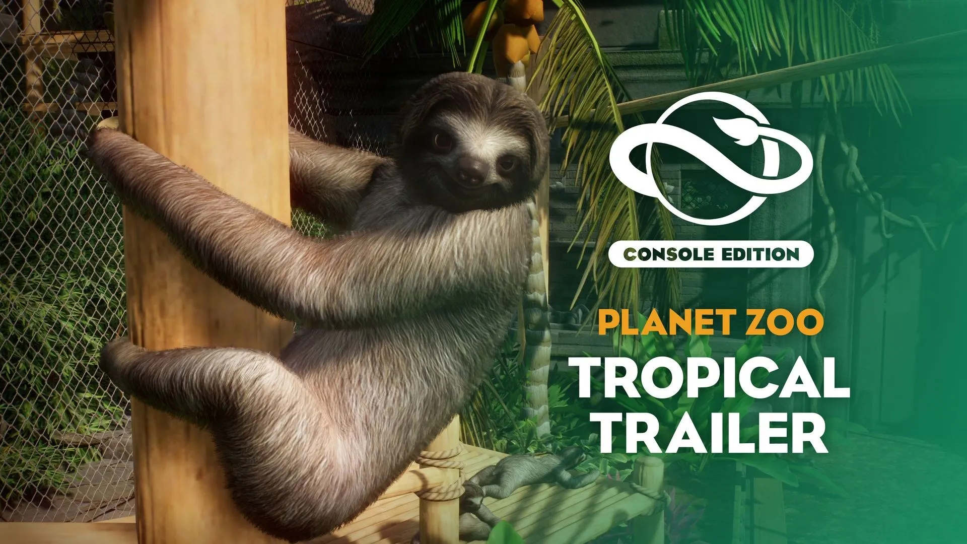 Planet Zoo: «Тропический набор» — трейлер