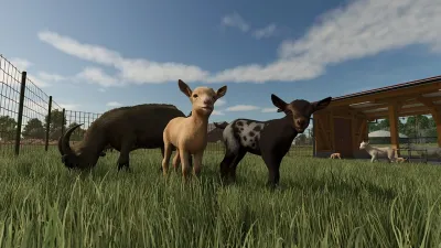 Farming Simulator 25 — скриншот 3