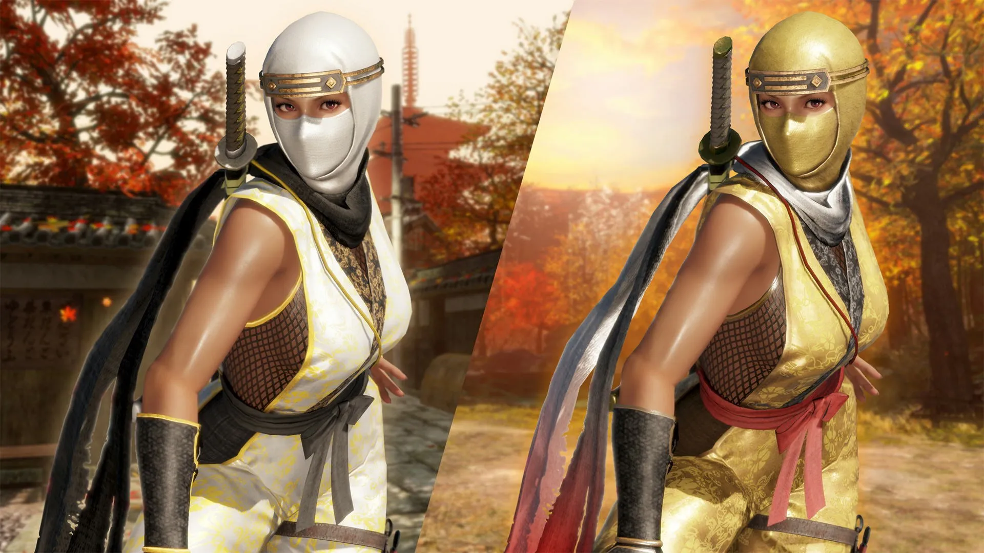 Костюм могучего ниндзя для DOA6 — Ла Марипосы