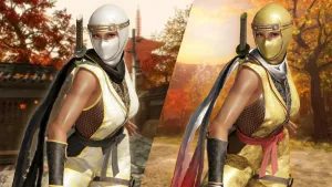 Костюм могучего ниндзя для DOA6 — Ла Марипосы