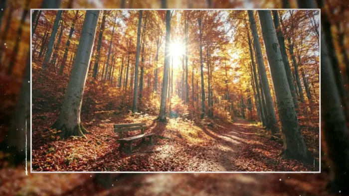 Puzzle Galaxy: Nature's Silence DLC — скриншот 3