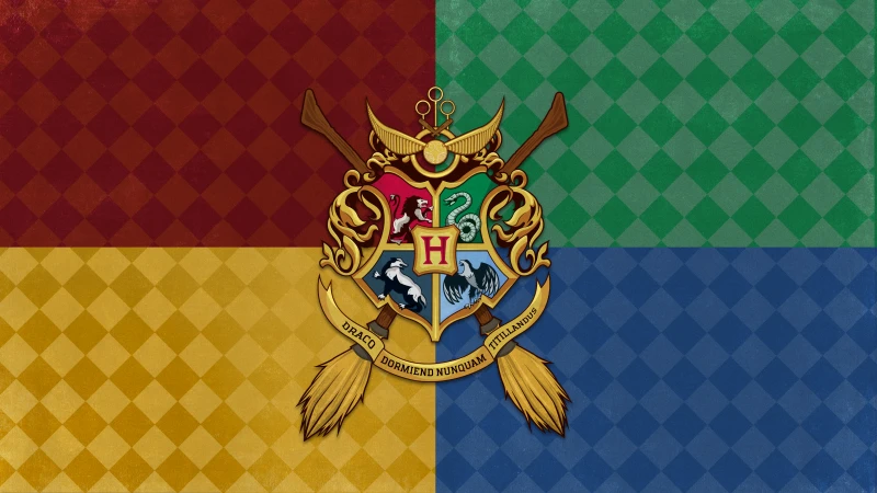 Гарри Поттер: Чемпионы по квиддичу - Deluxe-набор