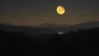 theHunter: Call of the Wild™ - Parque Fernando - Windows 10 — скриншот 5