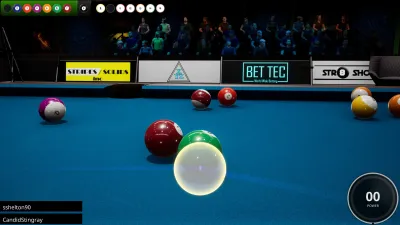 Brunswick Pro Billiards — скриншот 8