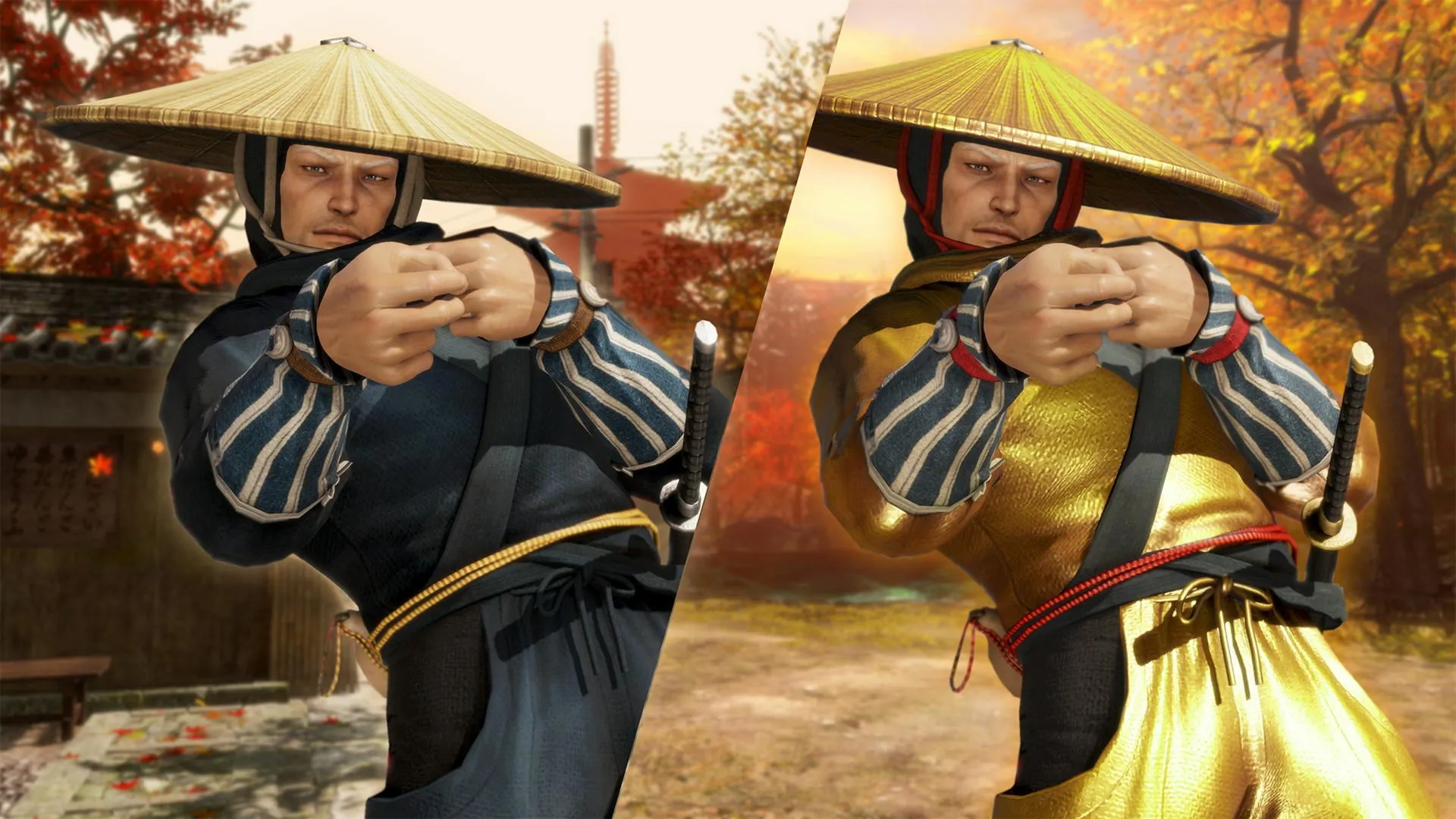 Костюм могучего ниндзя для DOA6 — Брэда Вонга