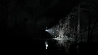 Silver Pines — скриншот 5
