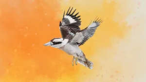 WINGSPAN (КРЫЛЬЯ): Птицы Океании