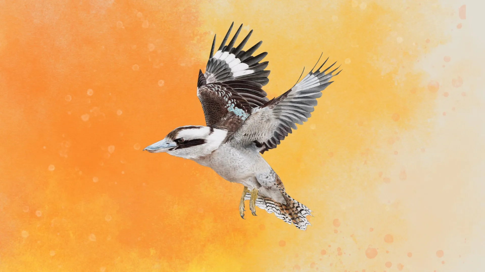 WINGSPAN (КРЫЛЬЯ): Птицы Океании — трейлер