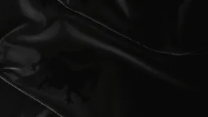 Crusader Kings III: Collection Bundle II