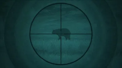 theHunter: Call of the Wild™ — набор прицелов и прицельных сеток - Windows10 — скриншот 6