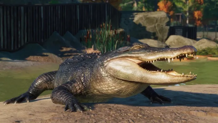 Planet Zoo: набор животных «Северная Америка» — скриншот 3