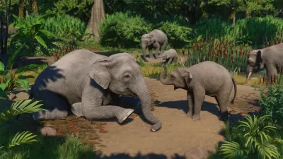 Planet Zoo: Набор азиатских животных — скриншот 3