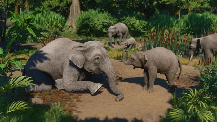 Planet Zoo: Набор азиатских животных — скриншот 3