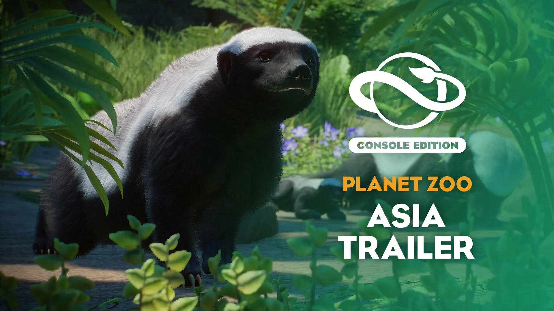 Planet Zoo: Набор азиатских животных — трейлер