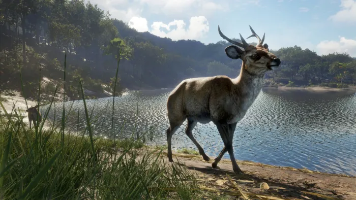 theHunter: Call of the Wild™ - Emerald Coast Australia — скриншот 13