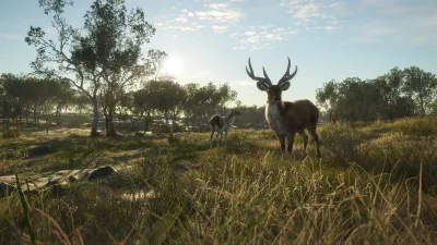 theHunter: Call of the Wild™ - Emerald Coast Australia — скриншот 9