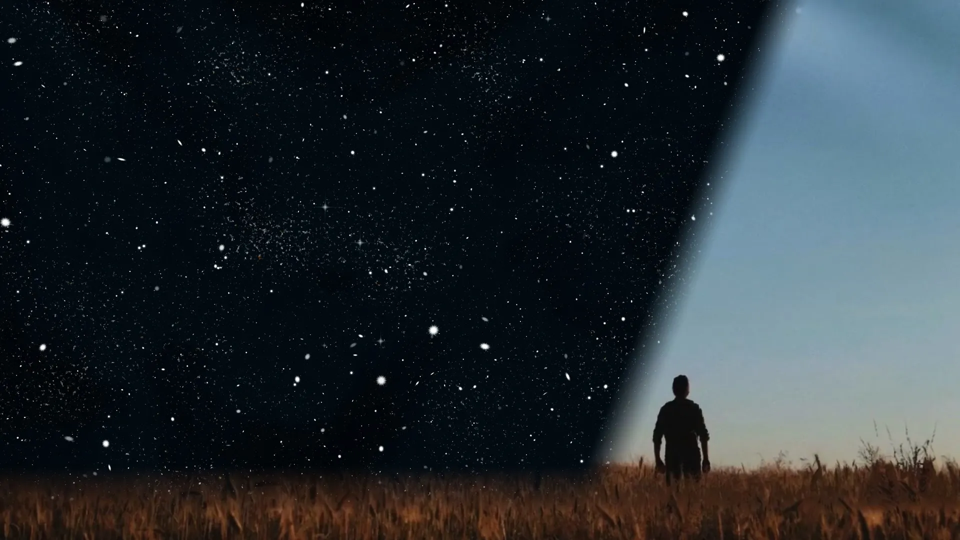 The World After — трейлер