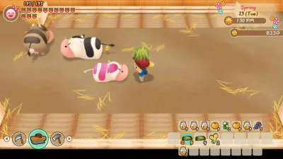 STORY OF SEASONS: Friends of Mineral Town - Windows Edition — скриншот 2