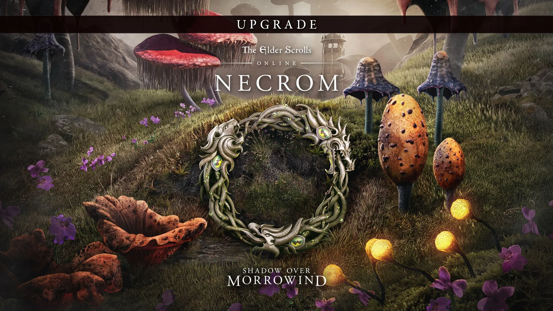 The Elder Scrolls Online: Necrom Upgrade (Add On)