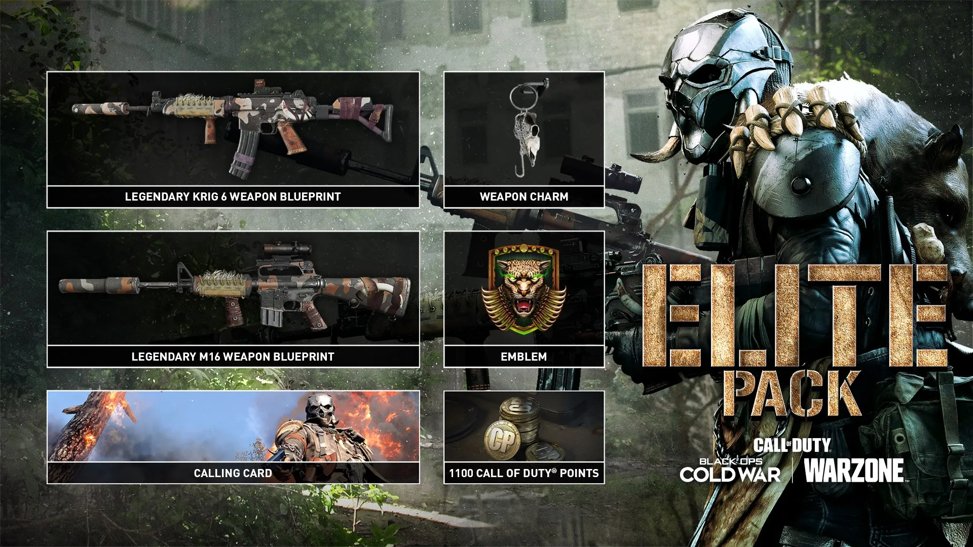 Call of Duty®: Black Ops Cold War - Элитный набор