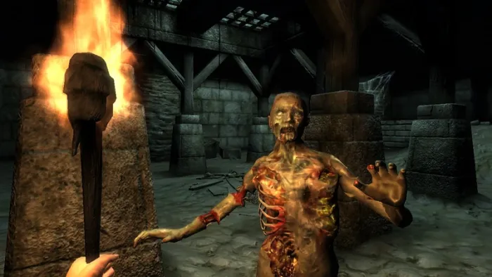 The Elder Scrolls IV: Oblivion Game of the Year Edition (PC) – 2009 — скриншот 4