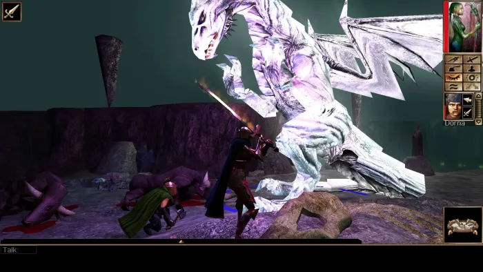 Neverwinter Nights: Enhanced Edition — скриншот 13