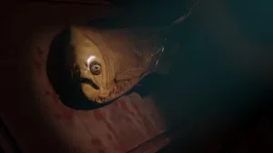 Loan Shark