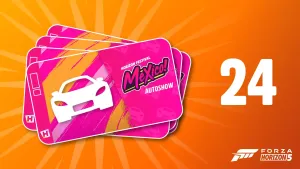 Car Vouchers (24)