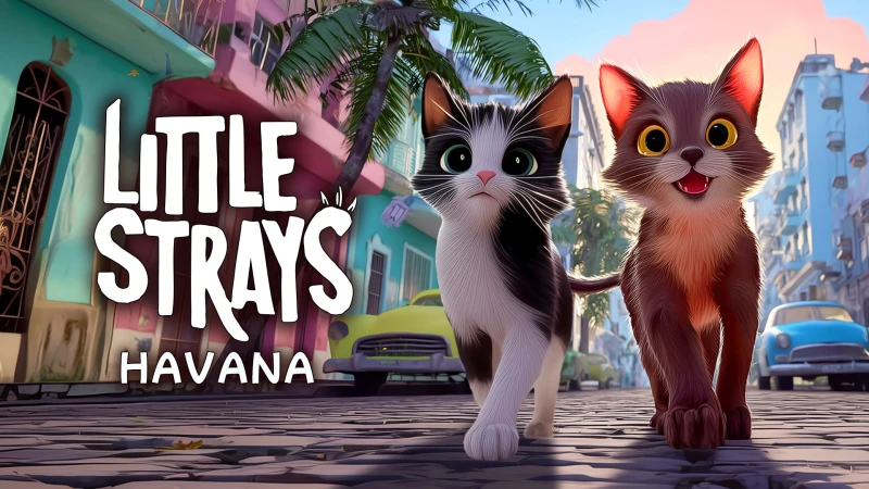 Little Strays - Havana