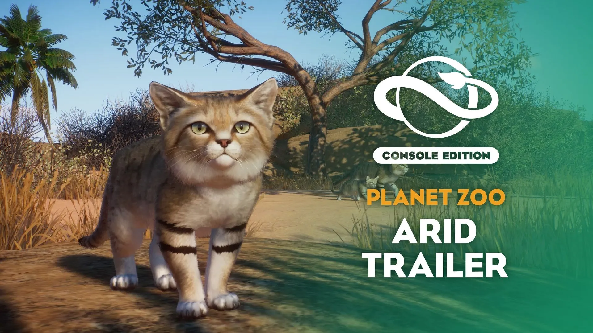 Planet Zoo: набор животных «Сухой климат» — трейлер