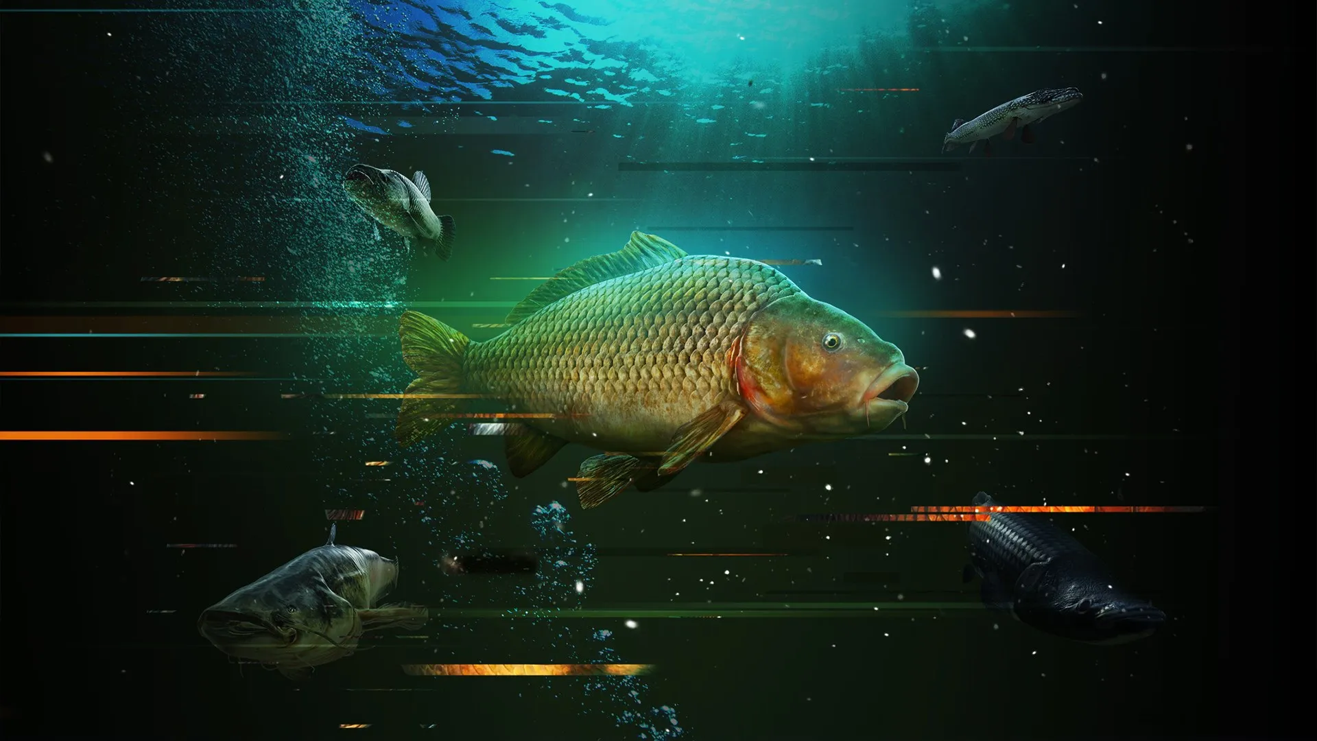 The Catch: Carp & Coarse Fishing — трейлер