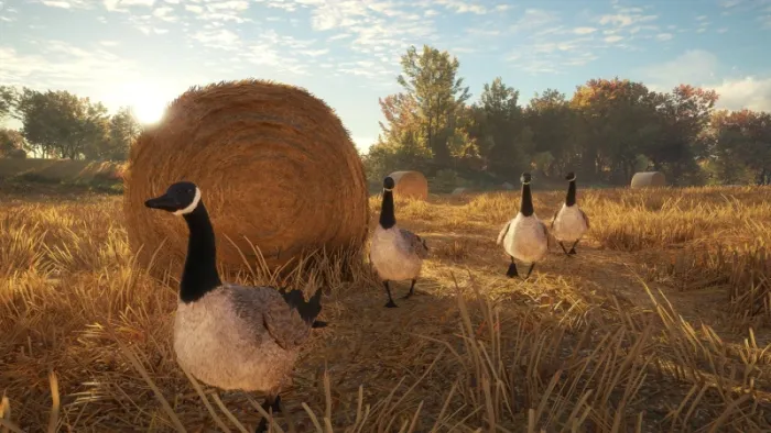theHunter: Call of the Wild™ - Wild Goose Chase Gear - Windows 10 — скриншот 5