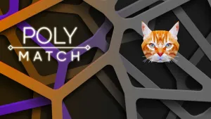 Poly Match