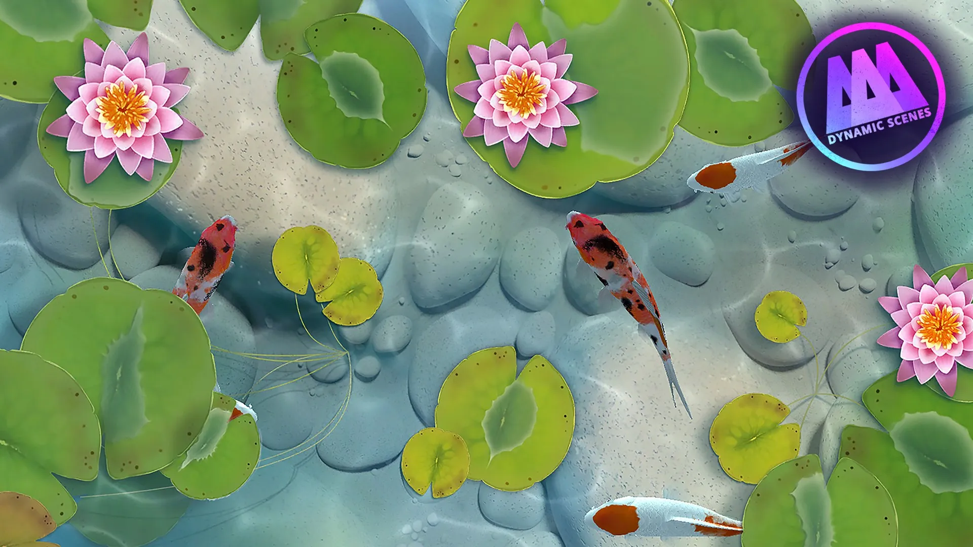 AAA Dynamic Scenes - Koi Fish Pond Dynamic Scene