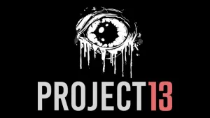 PROJECT 13
