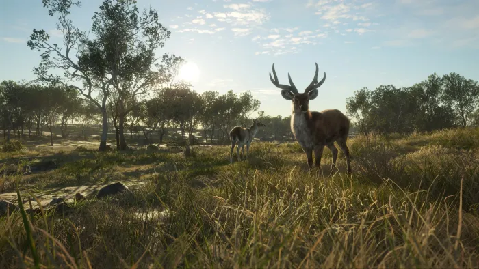 theHunter: Call of the Wild™ - Emerald Coast Australia - Windows 10 — скриншот 9