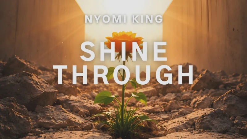 Shine Through Song